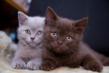 Similar image 162357