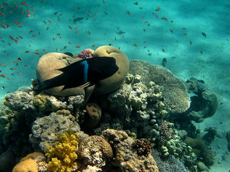 Similar image 162362