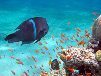 Similar image 162363