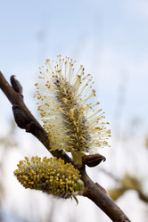 Similar image 162371