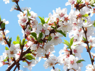 Similar image 162372