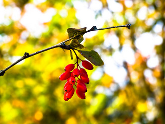 Similar image 162413