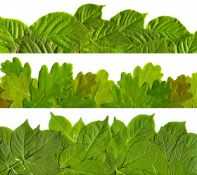 Similar image 162423