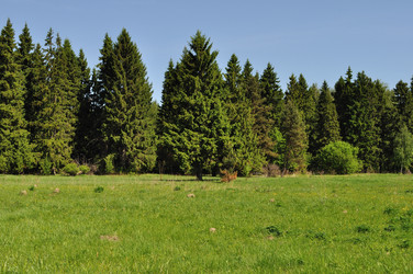 Similar image 162430