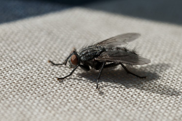 Similar image 162451