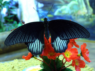 Similar image 162474