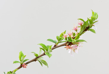 Similar image 162487