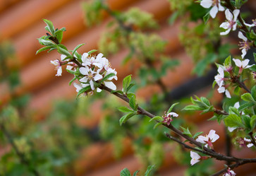 Similar image 162489