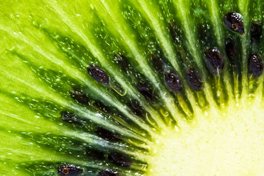 Similar image 162498