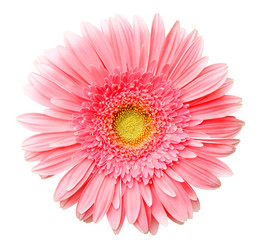 Similar image 162518