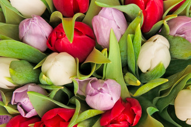 Similar image 162522