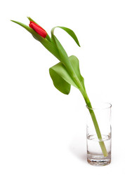 Similar image 162523