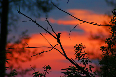 Similar image 162524