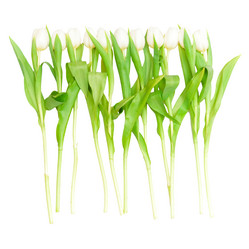 Similar image 162539