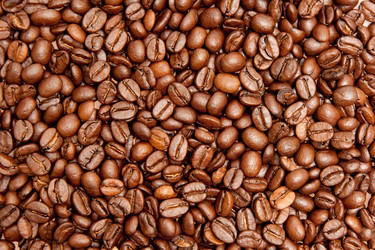 Similar image 162549