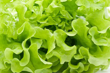 Similar image 162593