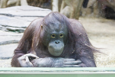 Similar image 162606