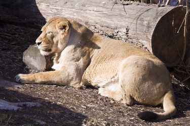 Similar image 162633