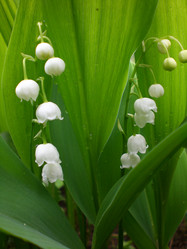 Similar image 162643