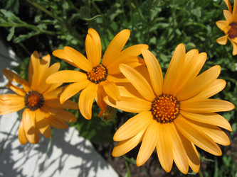 Similar image 162649