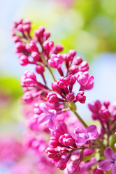 Similar image 162652