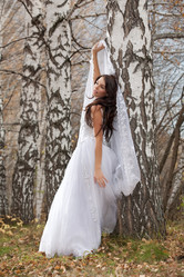 Similar image 162661