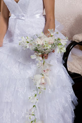 Similar image 162663