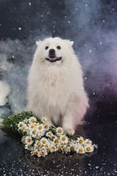 Similar image 162672