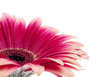 Similar image 162676