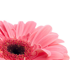 Similar image 162678