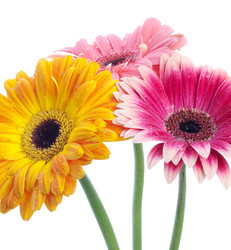 Similar image 162683