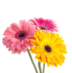 Similar image 162686