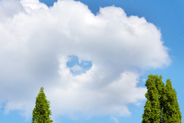 Similar image 162718