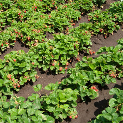 Similar image 162728