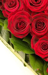 Similar image 162742