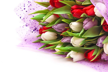 Similar image 162744