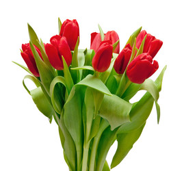 Similar image 162747