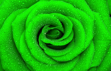 Similar image 162757