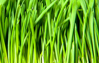 Similar image 162766