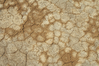 Similar image 162776