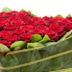 Similar image 162810