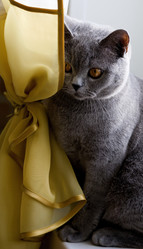 Similar image 162814