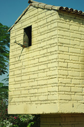 Similar image 162817