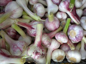 Similar image 162823