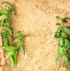 Similar image 162833