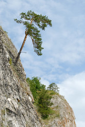 Similar image 162887