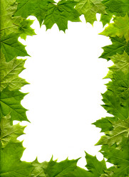 Similar image 162922