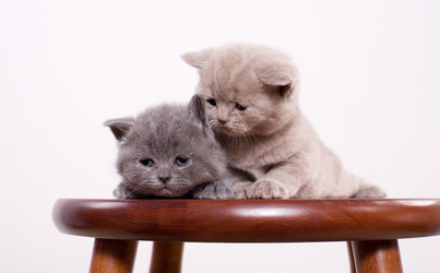 Similar image 162953