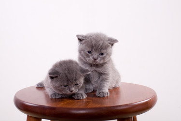 Similar image 162954