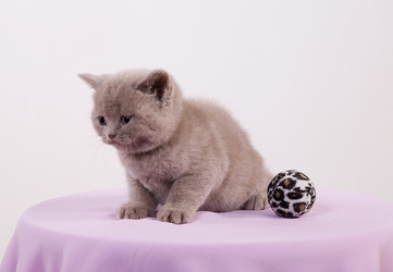 Similar image 162955